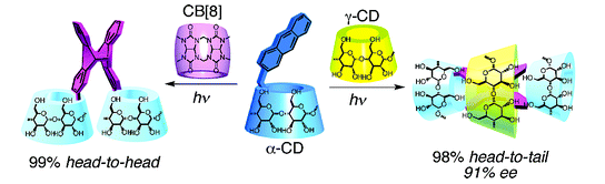 8.Highly Stereoselective Photocyclodimerization of α-Cyclodextrin-Appended Anthracene Mediated by γ-Cyclodextrin and Cucurbit[8]uril: A Dramatic Steric Effect Operating Outside the Binding Site.