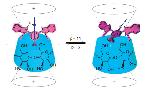 10. pH-Controlled Supramolecular Enantiodifferentiating Photocyclodimerization of 2-Anthracenecarboxylate with Capped -Cyclodextrins.