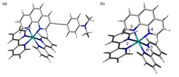 13. Enhanced luminescence oxygen sensing property of Ru(II) bispyridine complexes by ligand modification. 