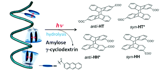 16.Dual Chiral, Dual Supramolecular Diastereodifferentiating Photocyclodimerization of 2-Anthracenecarboxylate Tethered to Amylose Scaffold. 