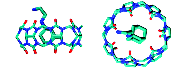 25.New Ultrahigh Affinity Host−Guest Complexes of Cucurbit[7]uril with Bicyclo[2.2.2]octane and Adamantane Guests: Thermodynamic Analysis and Evaluation of M2 Affinity Calculations. 