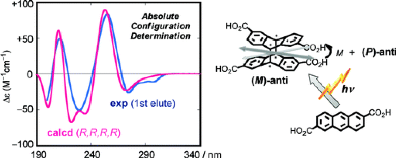 31.Theoretical and experimental investigations of circular dichroism and absolute configuration determination of chiral anthracene photodimers.