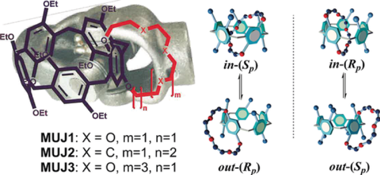 71.Temperature-driven planar chirality switching of a pillar[5]arene-based molecular universal joint.
