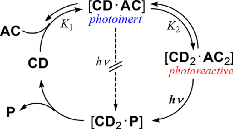 73.Supramolecular photochirogenesis driven by higher-order complexation: enantiodifferentiating photocyclodimerization of 2-anthracenecarboxylate to slipped cyclodimers via a 2:2 complex with beta-cyclodextrin.