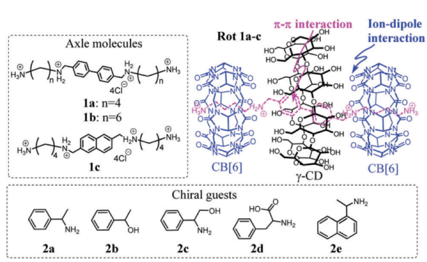76.Enhanced chiral recognition by gamma-cyclodextrin-cucurbit[6]uril-cowheeled [4]pseudorotaxanes.
