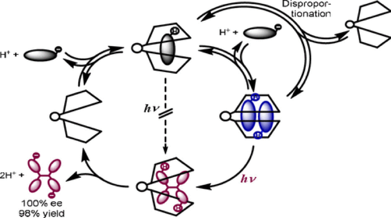 83.An ultimate stereocontrol in supramolecular photochirogenesis: photocyclodimerization of 2-anthracenecarboxylate mediated by sulfur-linked beta-cyclodextrin dimers.