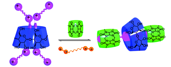 7.Dynamic Switching between Single- and Double-Axial Rotaxanes Manipulated by Charge and Bulkiness of Axle Termini. 