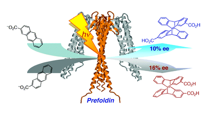 15.Bio-supramolecular photochirogenesis with molecular chaperone: enantiodifferentiating photocyclodimerization of 2-anthracenecarboxylate mediated by prefoldin.