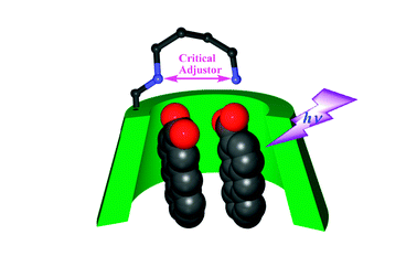 18.Critical stereocontrol by inter-amino distance of supramolecular photocyclodimerization of 2-anthracenecarboxylate mediated by 6-(ω-aminoalkylamino)-γ-cyclodextrins. 