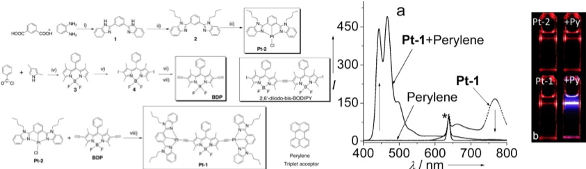 35.Long-lived room-temperature near-IR phosphorescence of BODIPY in a visible-light-harvesting N^C^N Pt(II)-acetylide complex with a directly metalated BODIPY chromophore.