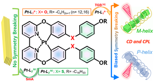 112.Biased Symmetry Breaking and Chiral Control by Self‐replicating in Achiral Tetradentate Platinum (II) Complexes