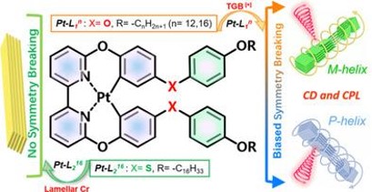 112.Biased Symmetry Breaking and Chiral Control by Self‐replicating in Achiral Tetradentate Platinum (II) Complexes