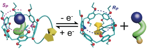102.Redox-Triggered Chirality Switching and Guest-Capture/Release with a Pillar[6]arene-Based Molecular Universal Joint.
