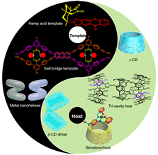 113.Recent progress on the enantioselective excited-state photoreactions by pre-arrangement of photosubstrate(s)