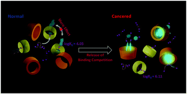 109.Supramolecular Spectral/Visual Detection of Urinary Polyamines through Synergetic / Competitive Complexation with γ-CD and CB[7]