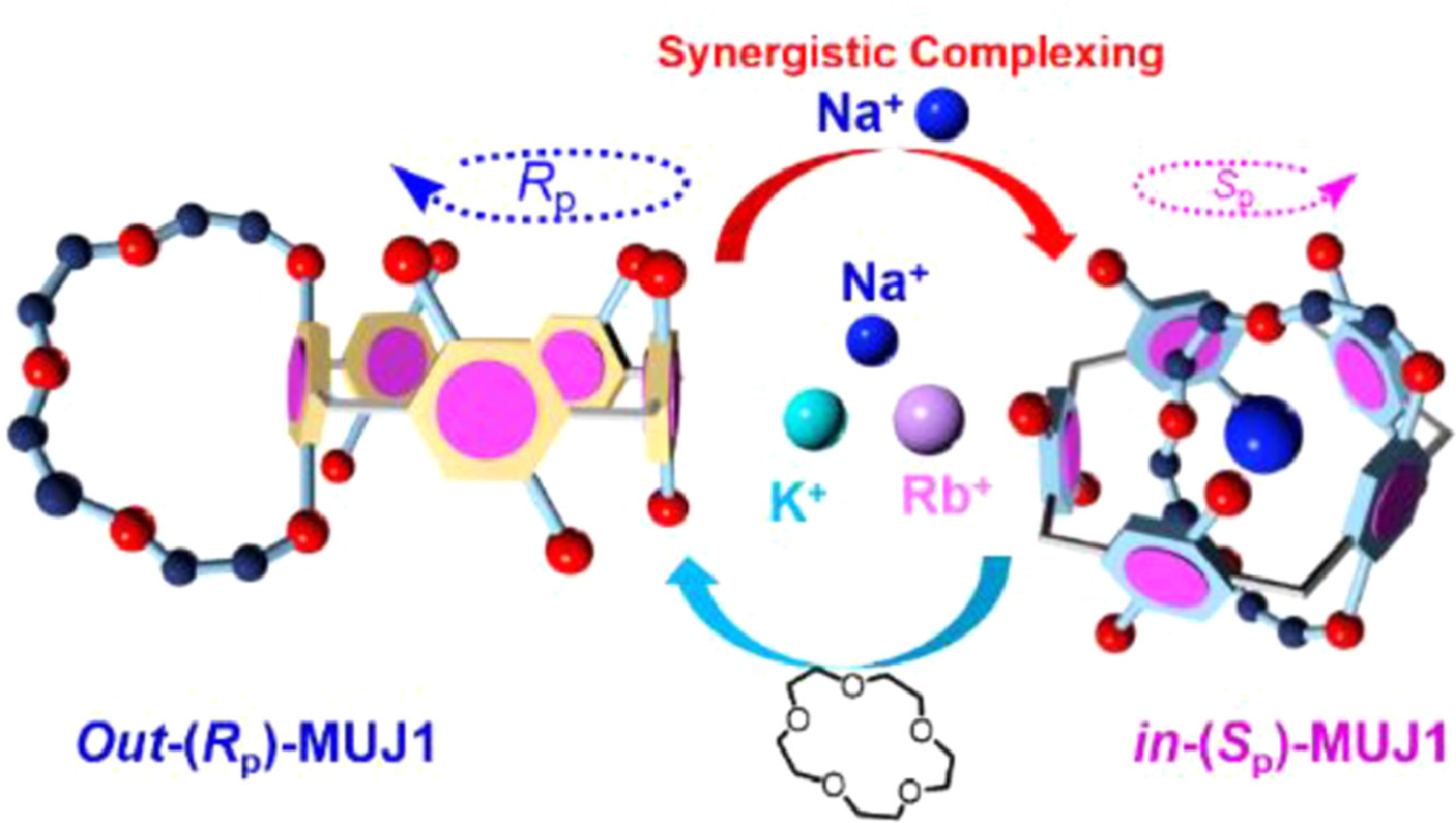 128 Chiroptical switching of molecular universal joint triggered by complexation/release of a cation: A stepwise synergistic complexation