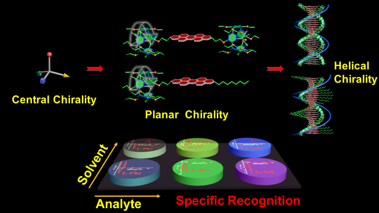 143.Hierarchical Chirality Transfer of Perylene Diimide-tethered Pillar[5]arenes for Configuration and Type Differentiation of Amino Acid Derivatives