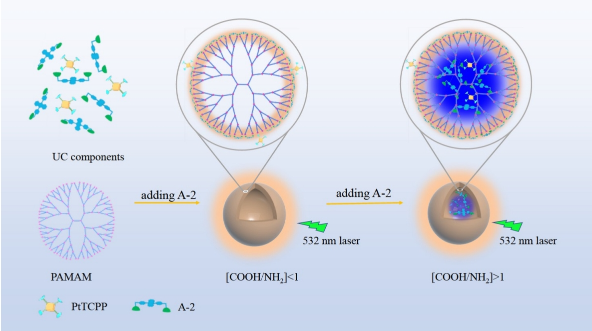 144.A new sensitization strategy for achieving organic RTP in aqueous solution: tunable RTP and UC emission in supramolecular TTA-UC systems