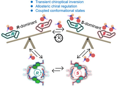 158.Revealing Pathway Complexity in Host–Guest Binding: Allosteric Regulation and Temporal Chiral Inversion During Complexation of Naphtho[2,2]urils